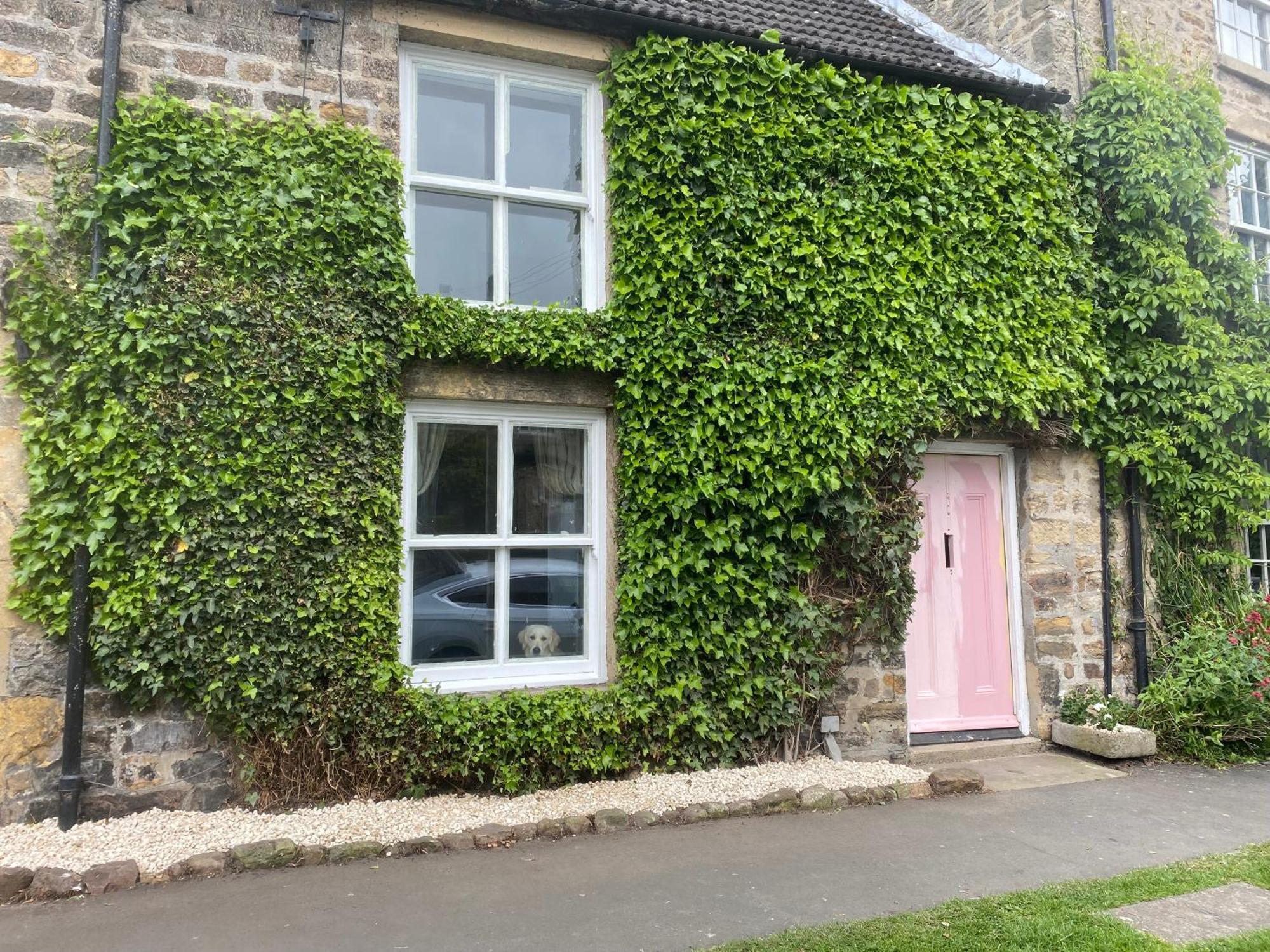 Holiday home Jasmine *